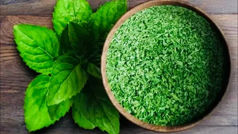 نعنا خشک خانگی با طعم طبیعی و فرآوری سنتی